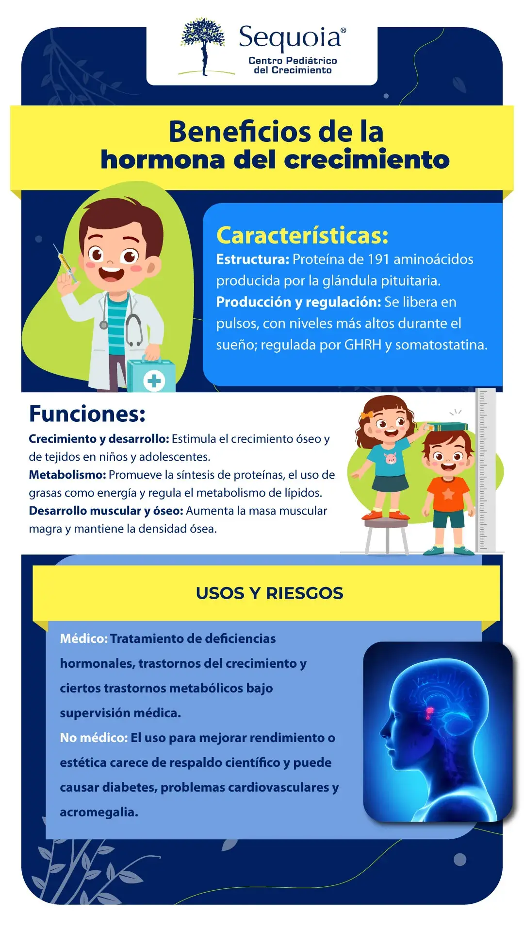 Beneficios de la hormona de crecimiento - infografía