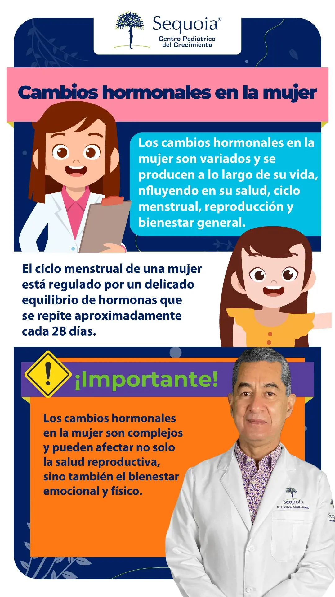 Cambios hormonales en la mujer - infografía