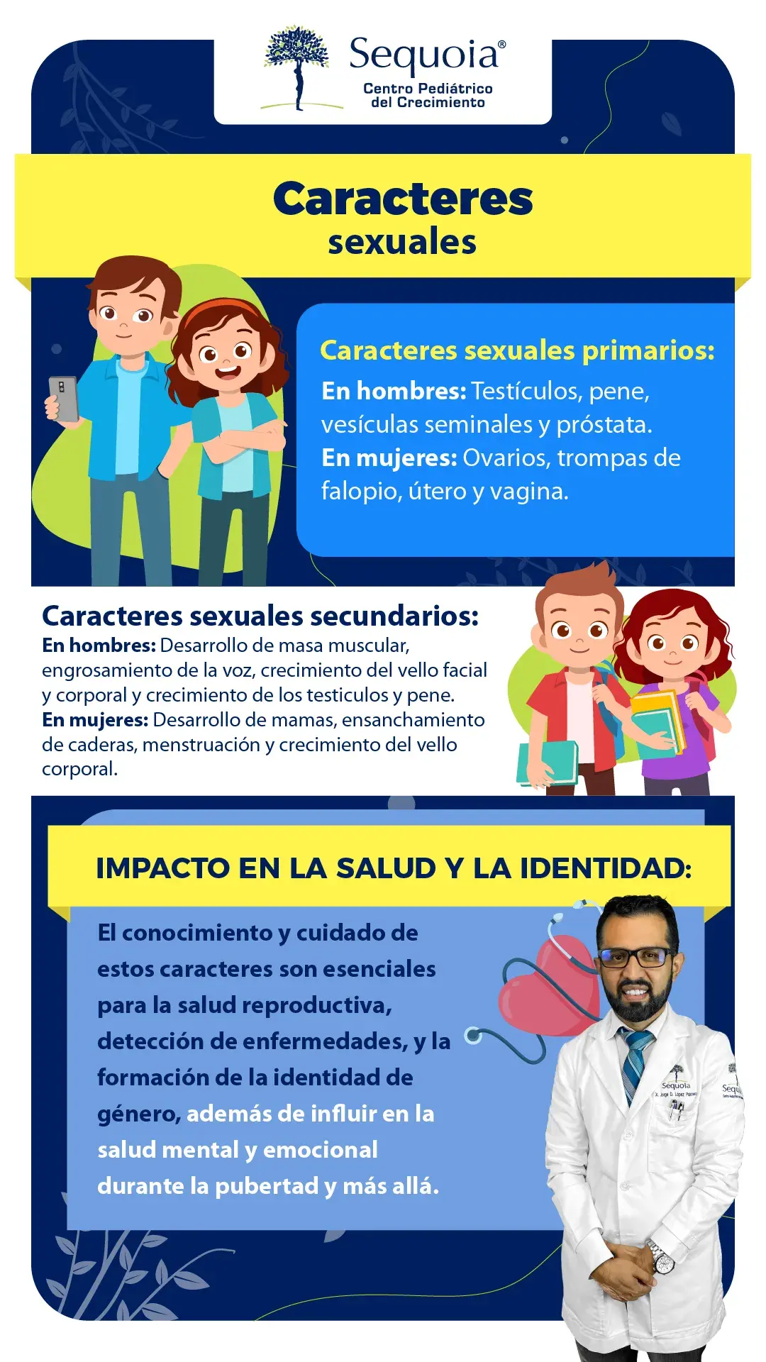 Caracteres sexuales - infografía