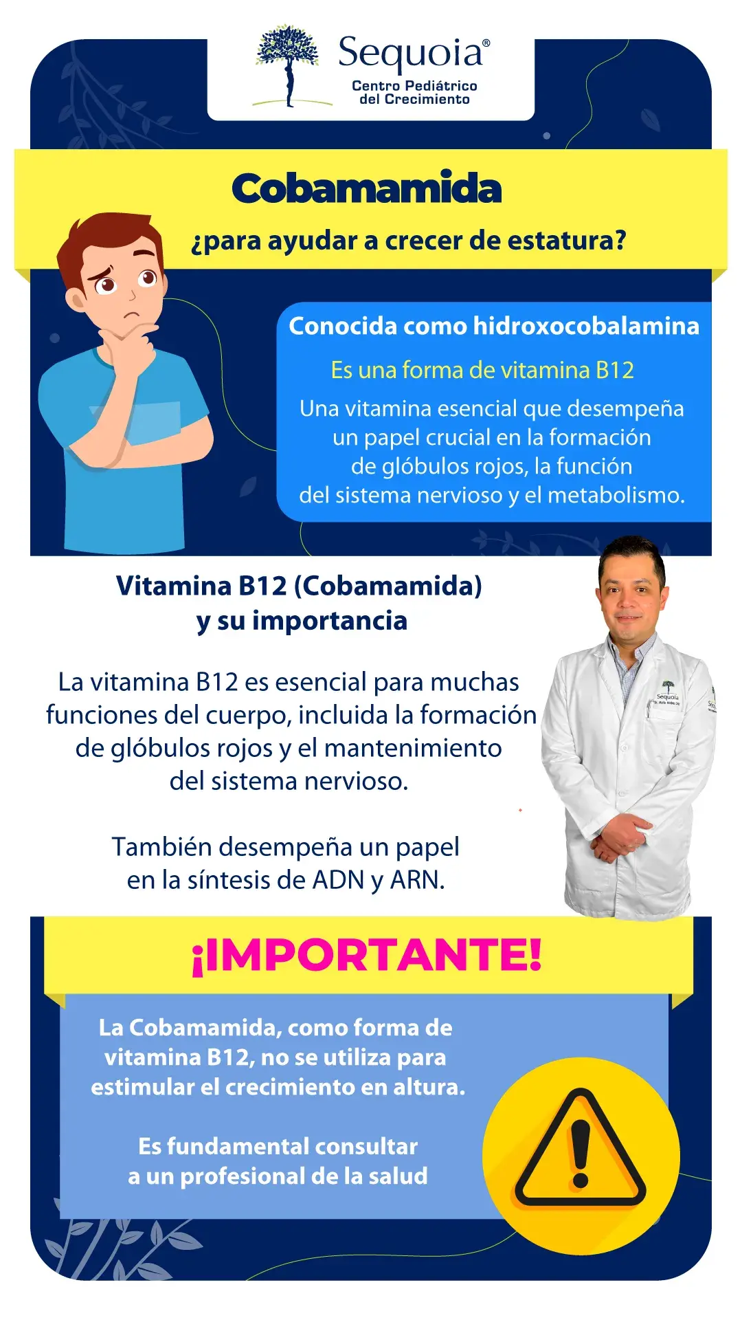 Cobamamida - infografía