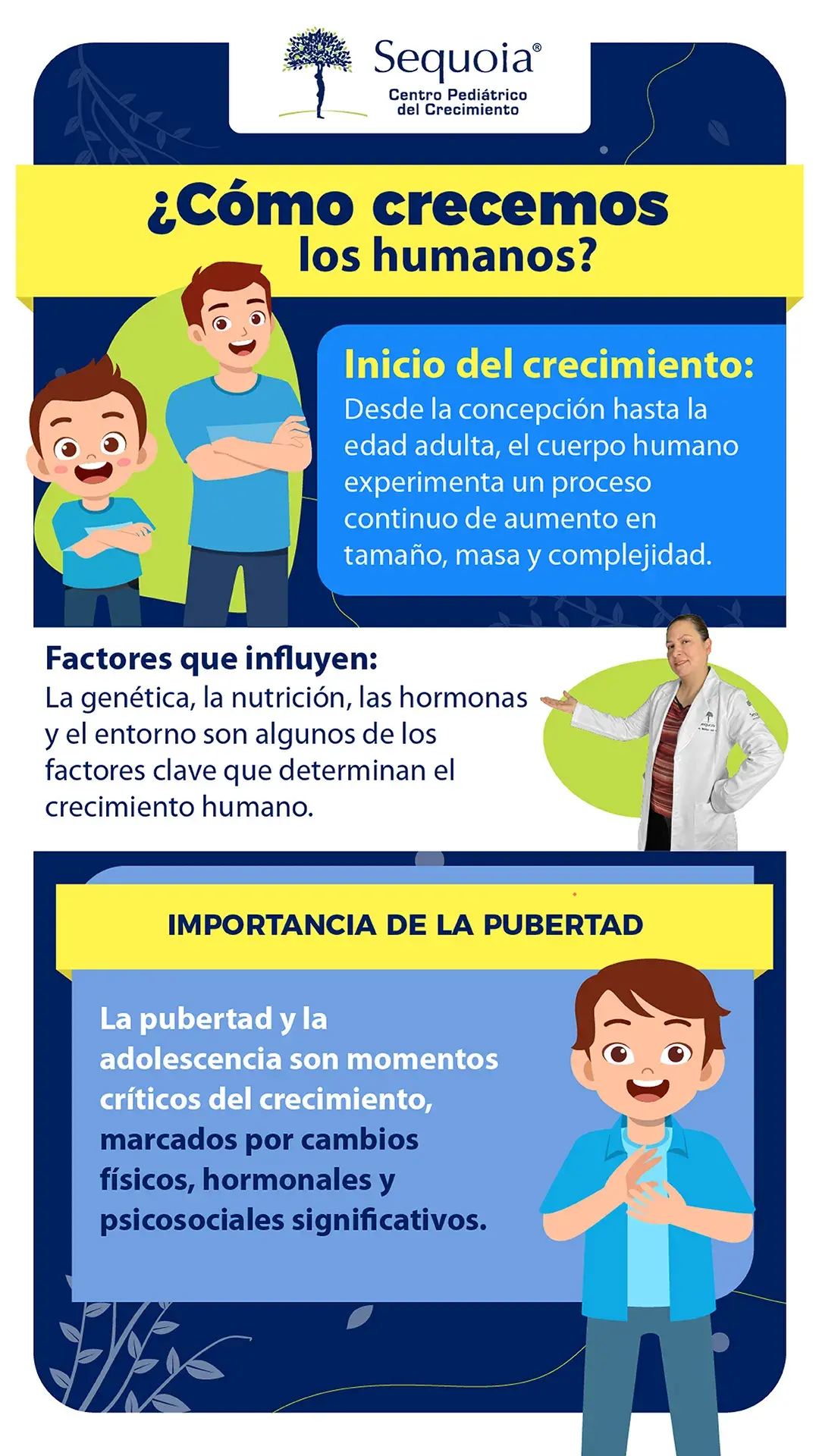 Como crecemos los humanos