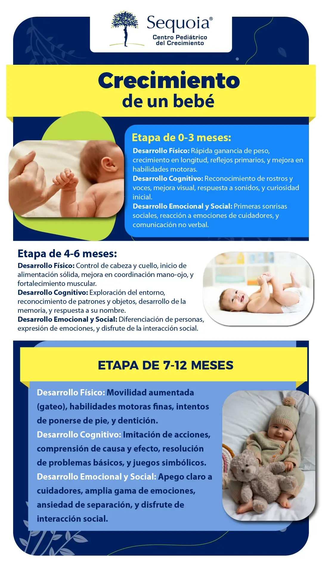 Crecimiento de un bebé - infografía