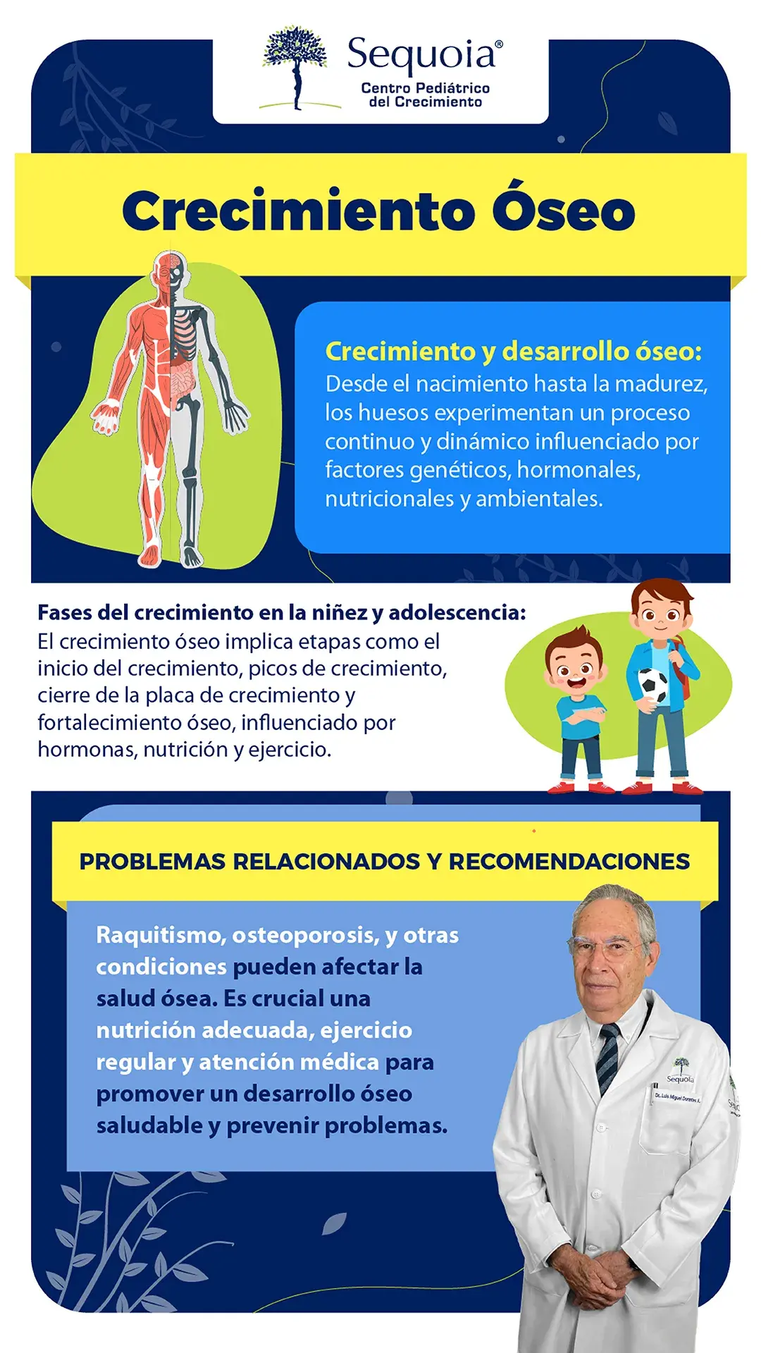 Crecimiento Oseo - infografía