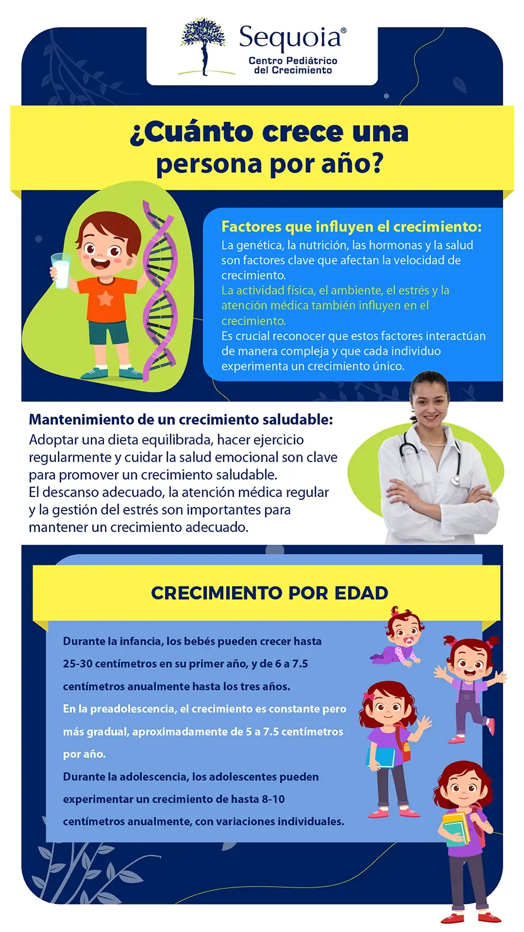 Cuanto crece una persona por año - infografía