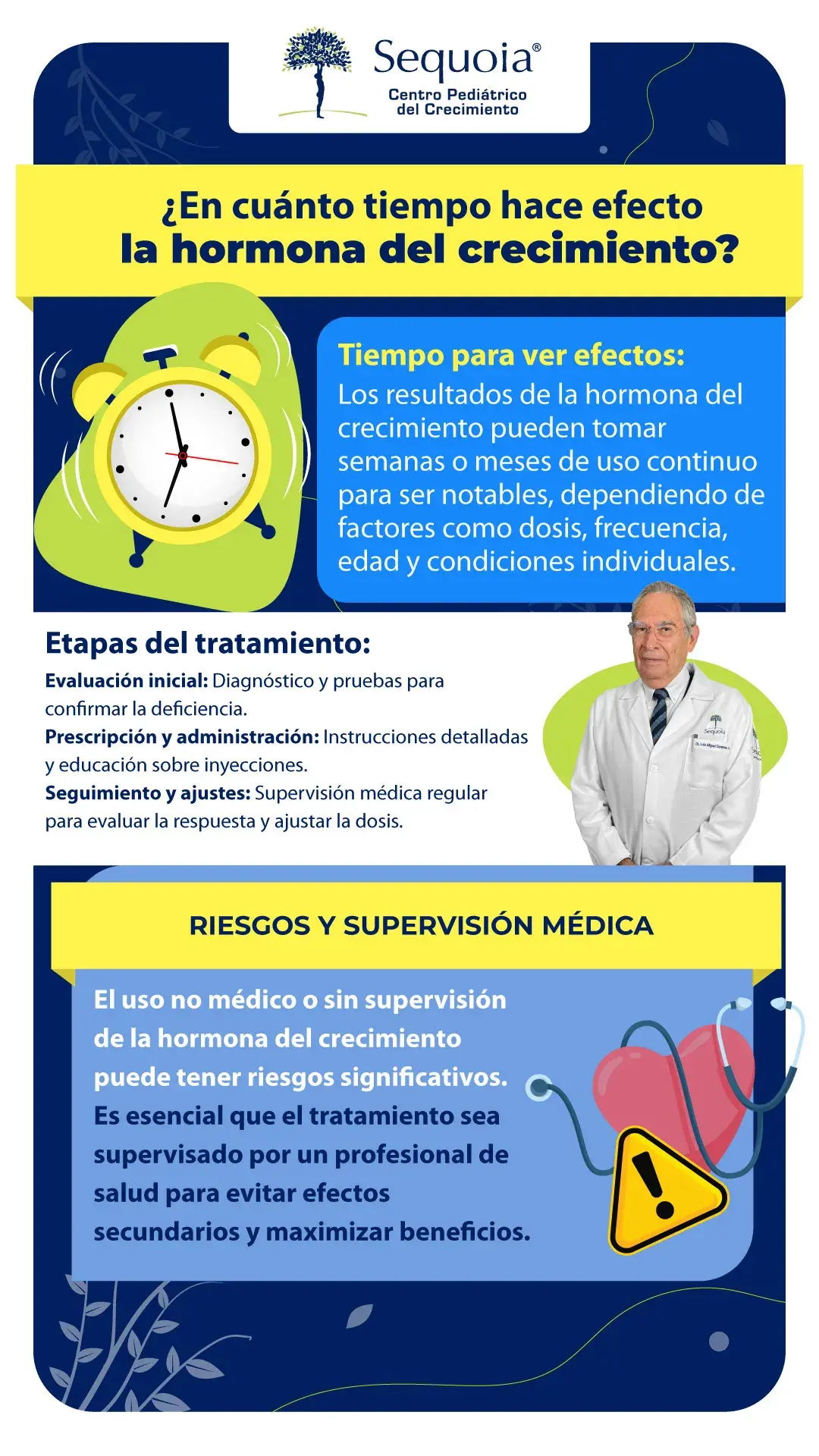 En cuanto tiempo hace efecto la hormona de crecimiento - infografía