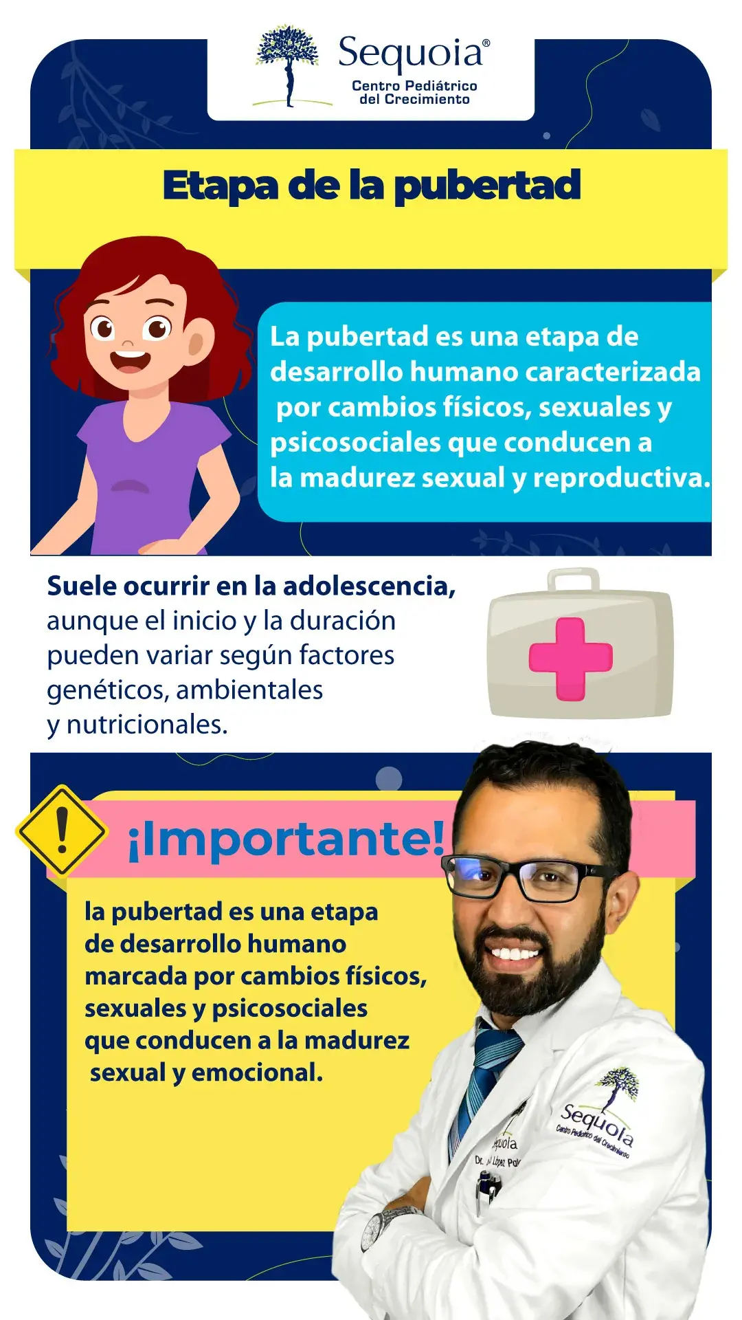 Etapas de la pubertad - infografía