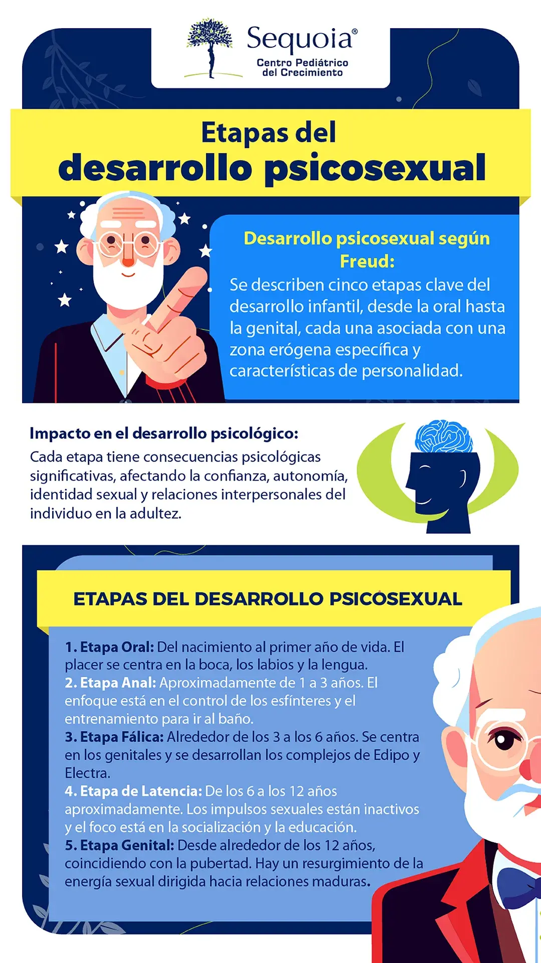 Etapas de desarrollo psicosexual - infografía