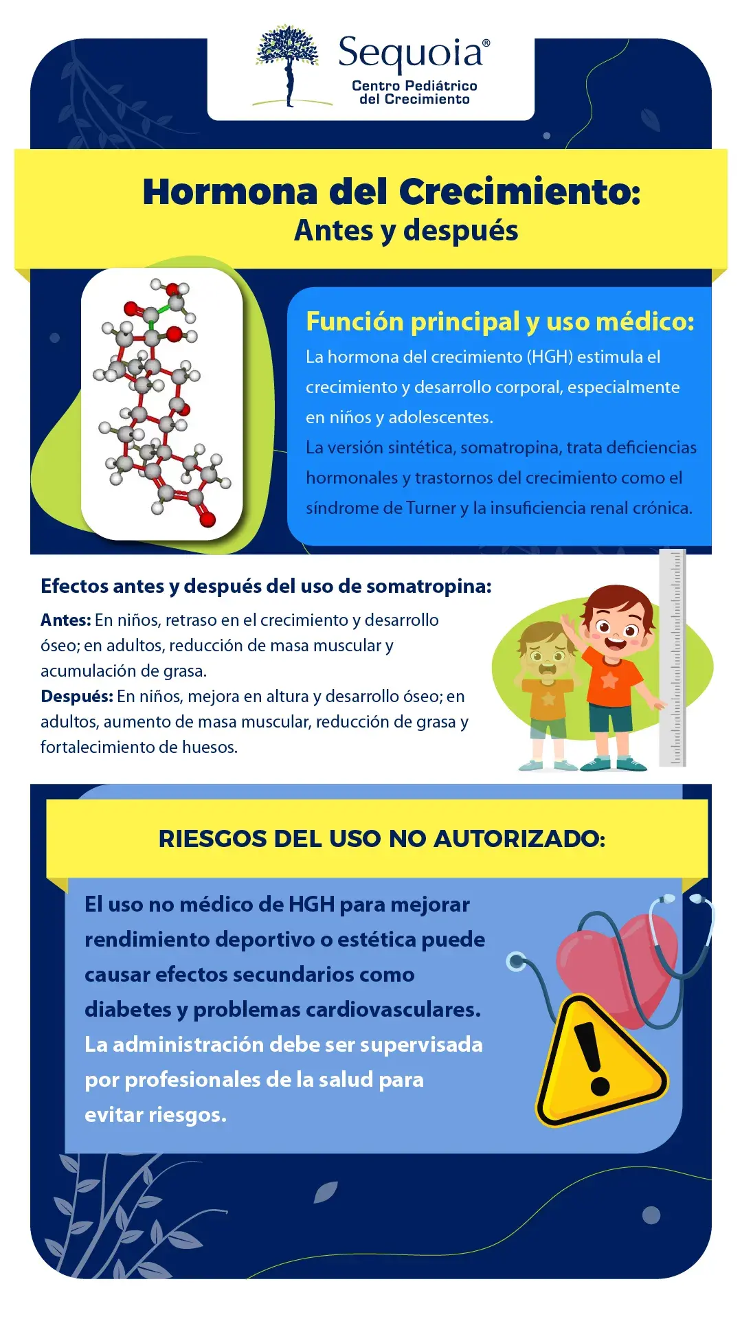 Hormona de crecimiento antes y después - infografía