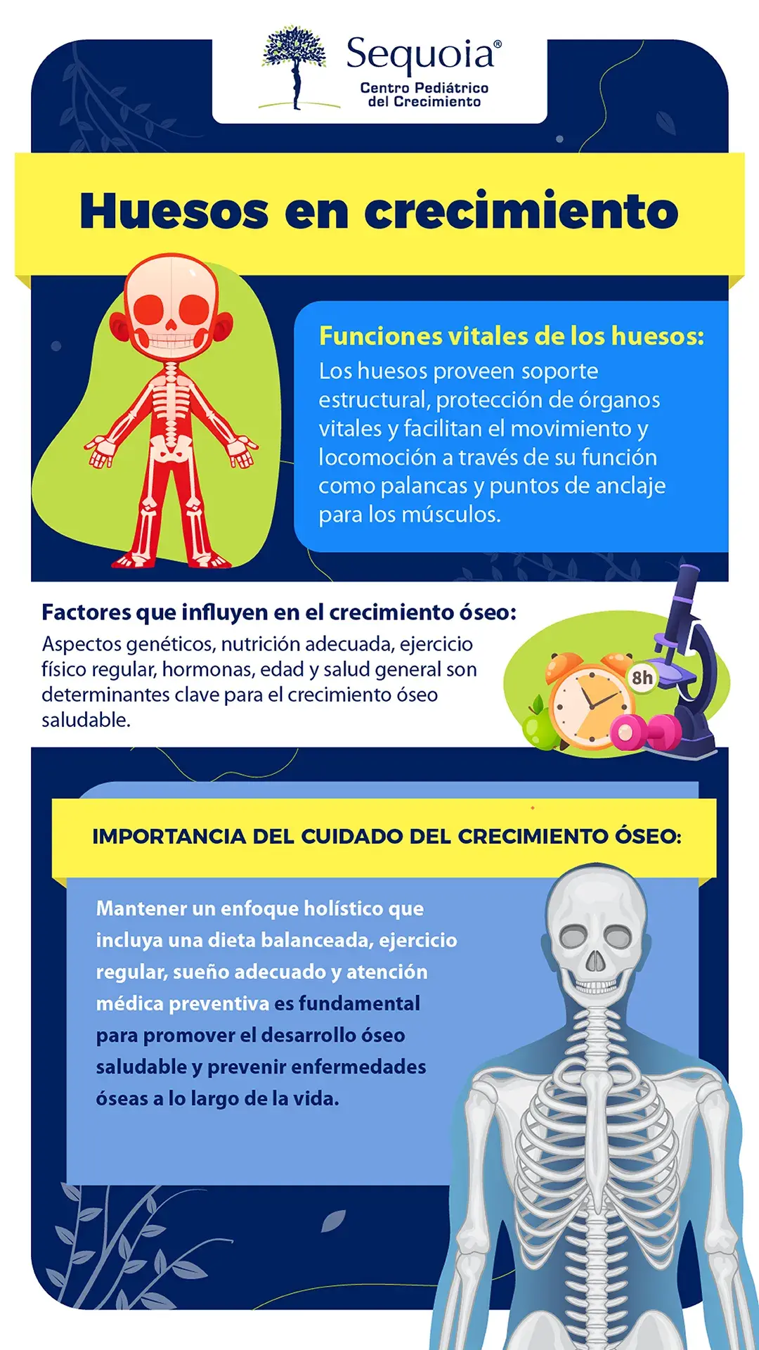 Huesos en crecimiento - infografía