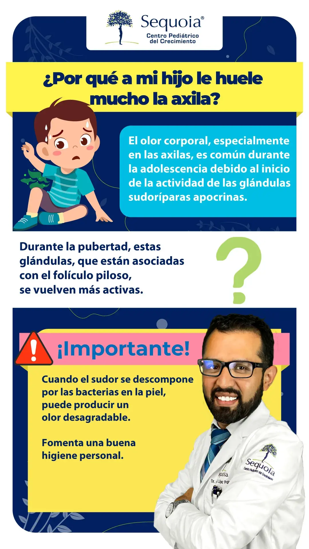 Porque a mi hijo le huele mucho la axila - infografía