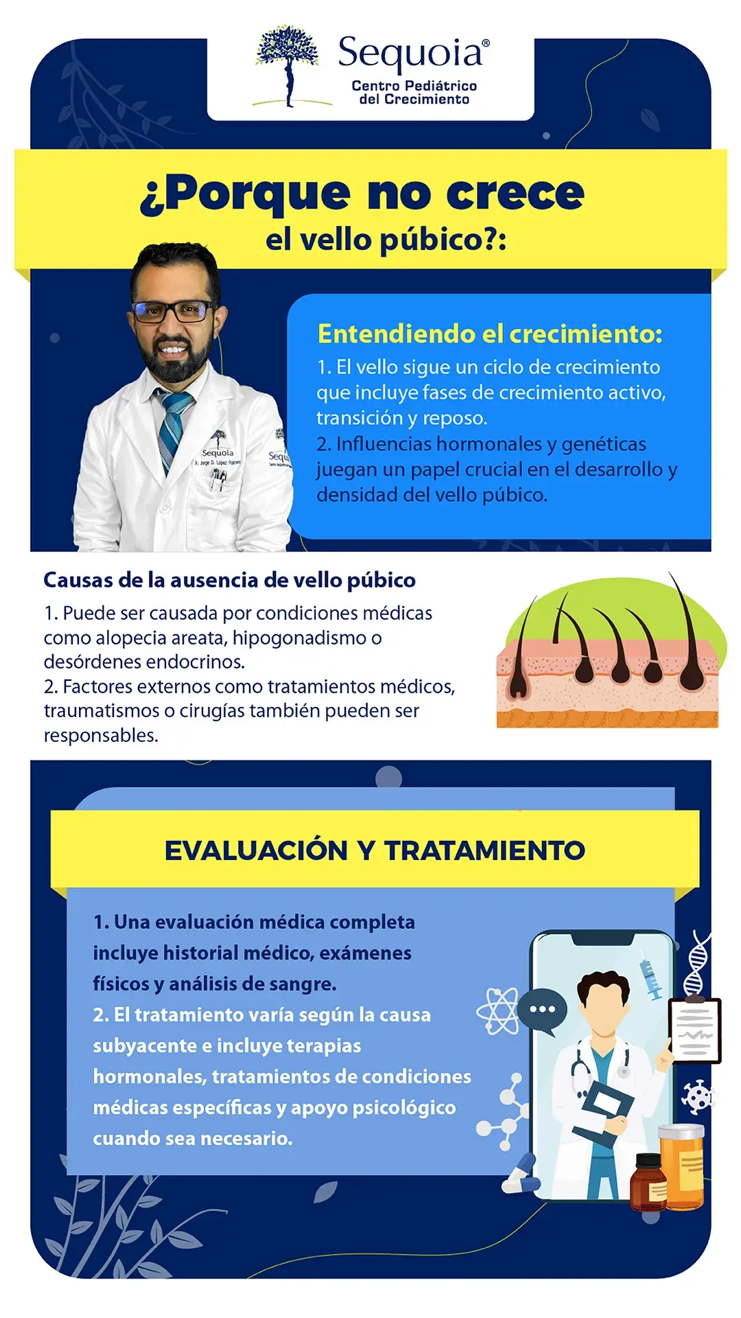 Porque no crece vello pubico - infografía