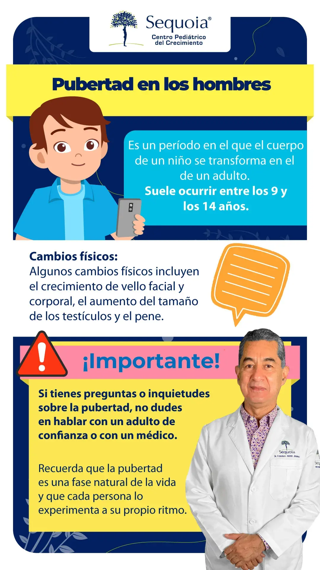 Pubertad en los hombres - infografía