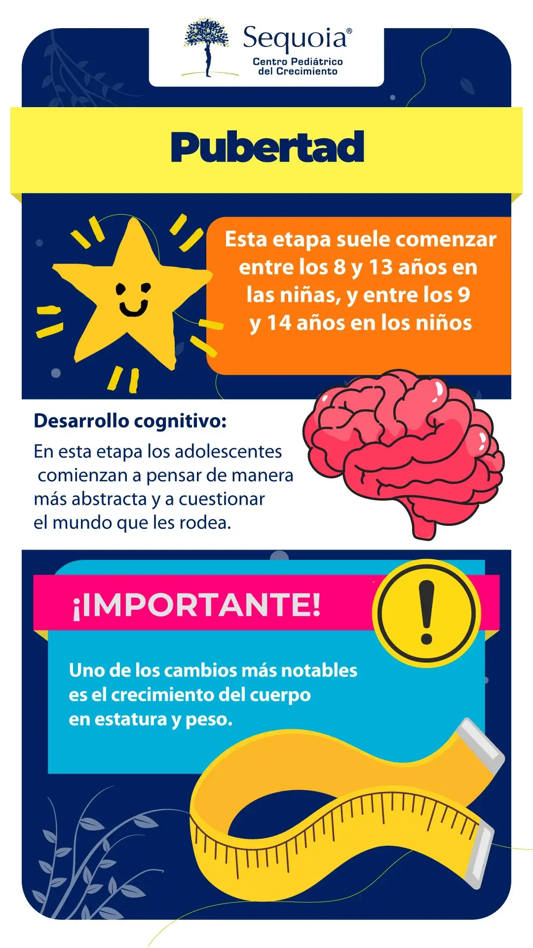 Pubertad - infografía