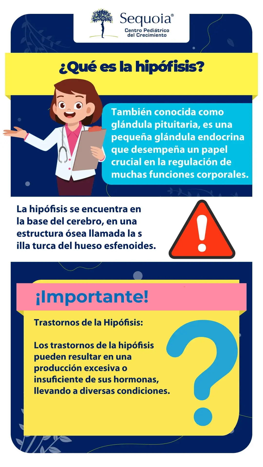 Que es la hipófisis - infografía