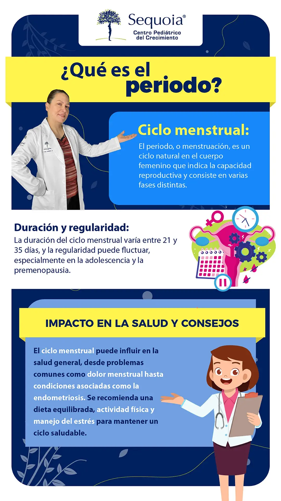 Que es el periodo - infografía