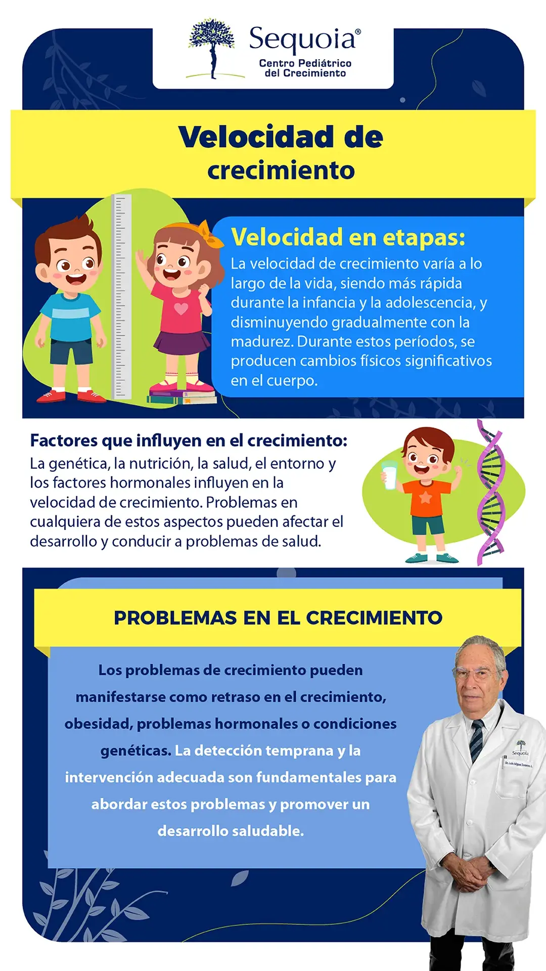 Velocidad de crecimiento - infografía