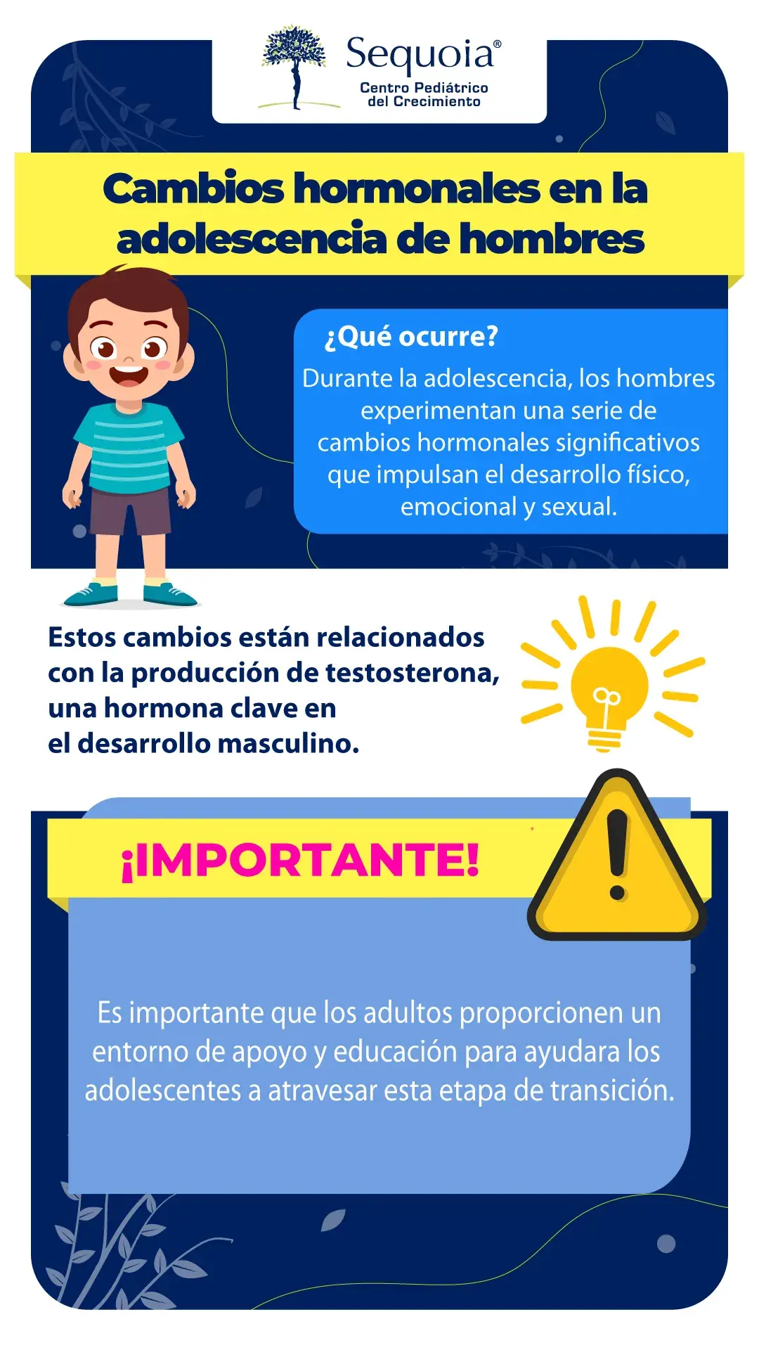 Cambios hormonales en la adolescencia de hombres - infografía