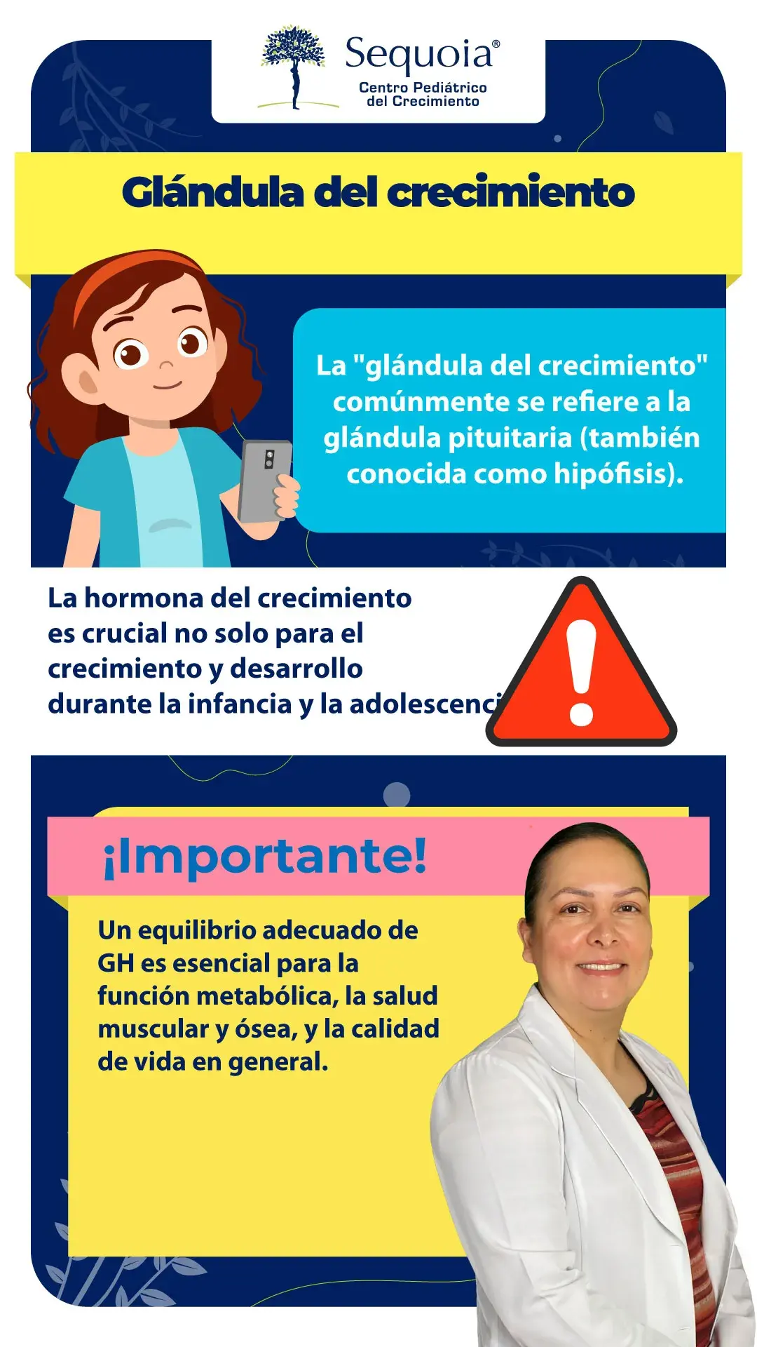 Glándula del crecimiento - infografía