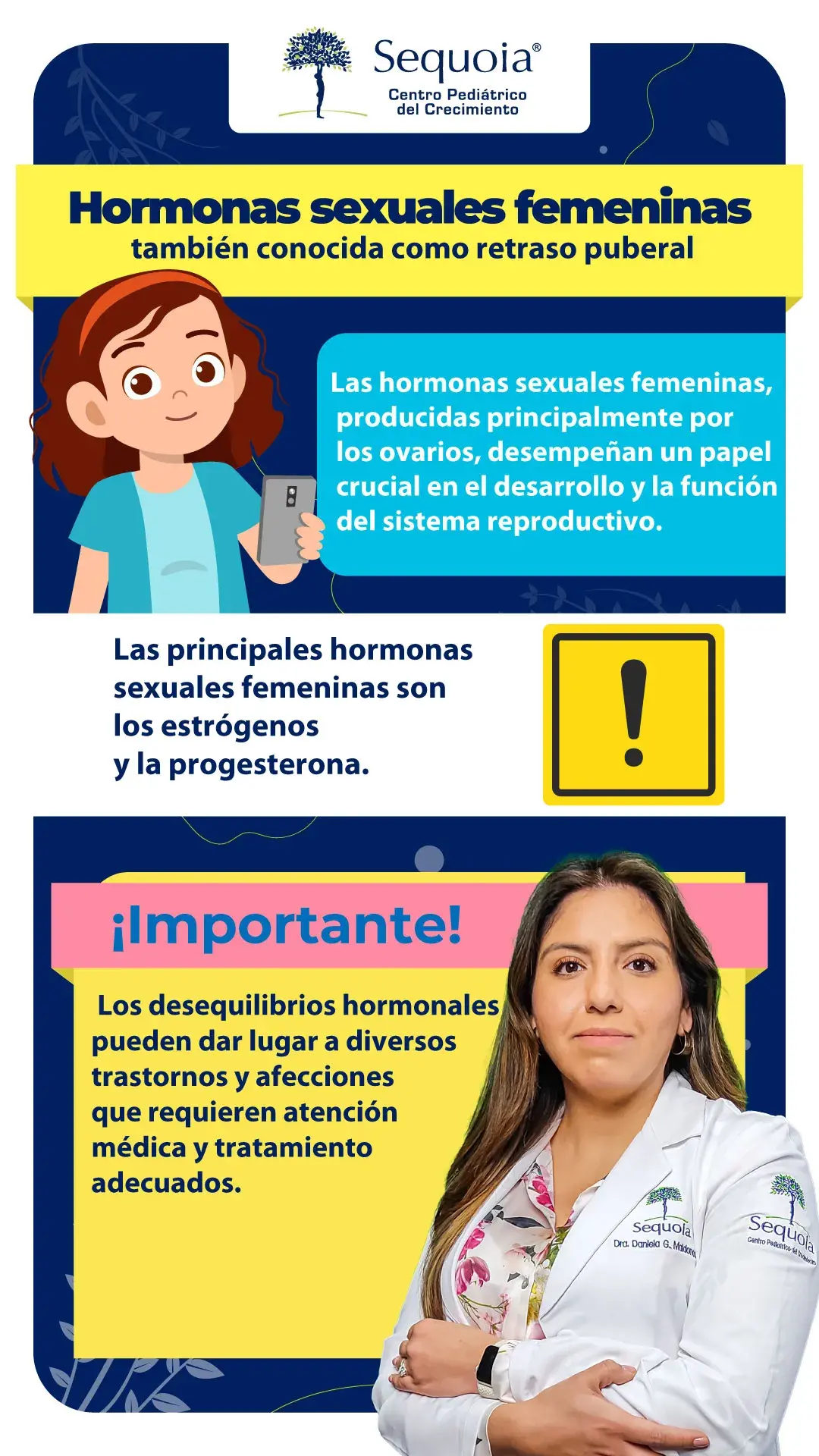 Hormonas sexuales femeninas - infografía