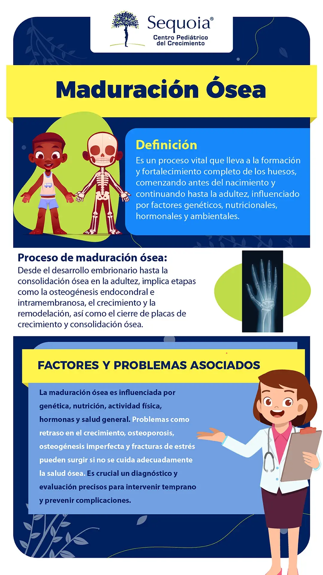 Maduración ósea - infografía