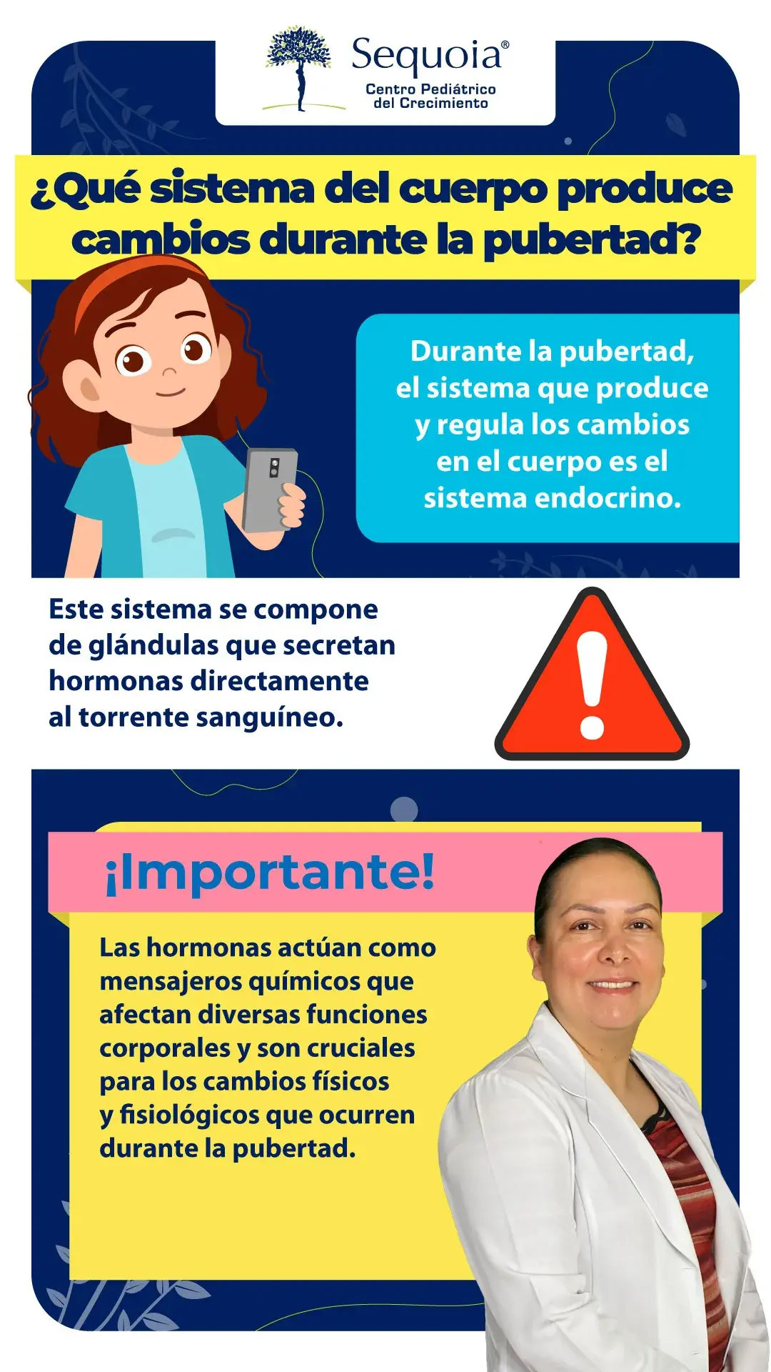 ¿Qué sistema del cuerpo produce cambios durante la pubertad? - infografía