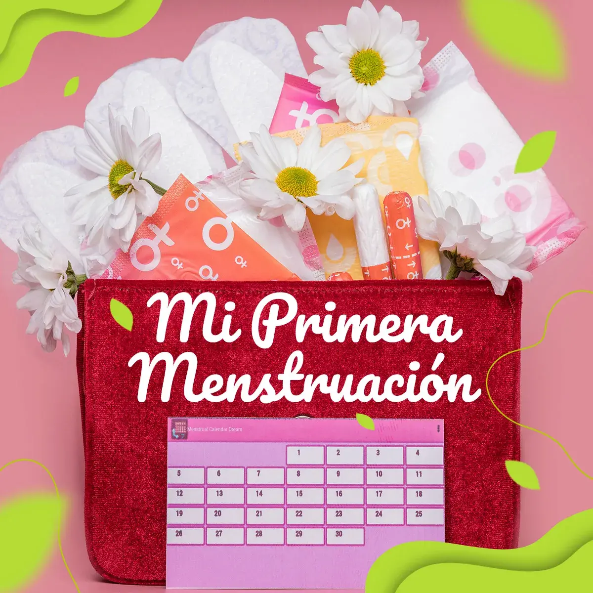 Primera Menstruación