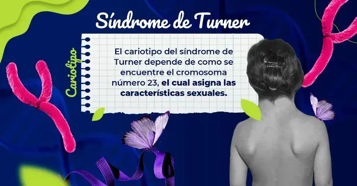 El síndrome de Turner se origina en el cromosoma 23.