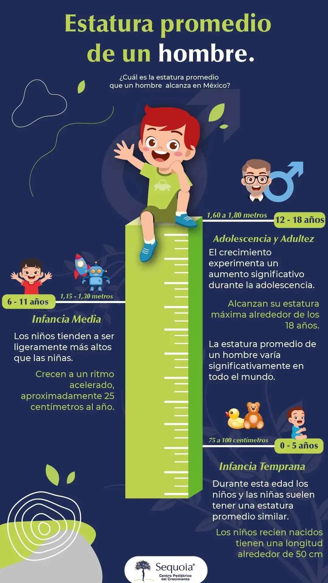 infografía estatura promedio de un hombre