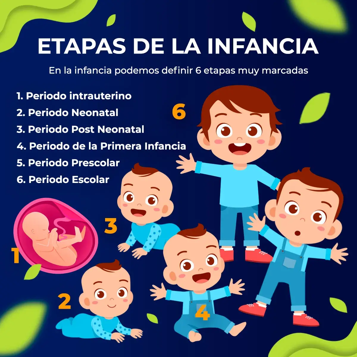Existen seis etapas de la primera infancia
